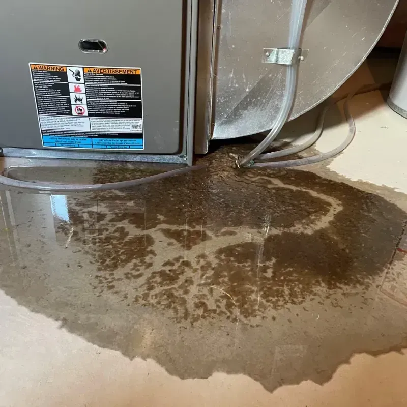 Appliance Leak Cleanup in Kimberly, WI